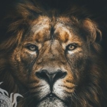 anshu7
