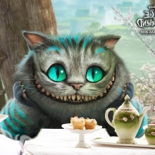 damonroyroa