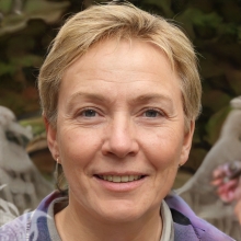 Darbi
