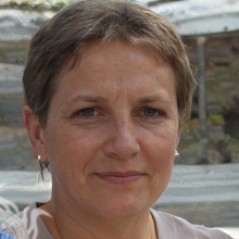 Genaveriia