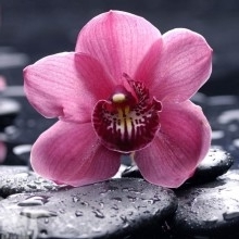 Imanat