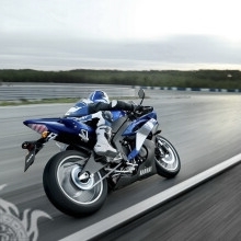 saif1202084