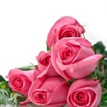 sudhanshu2506